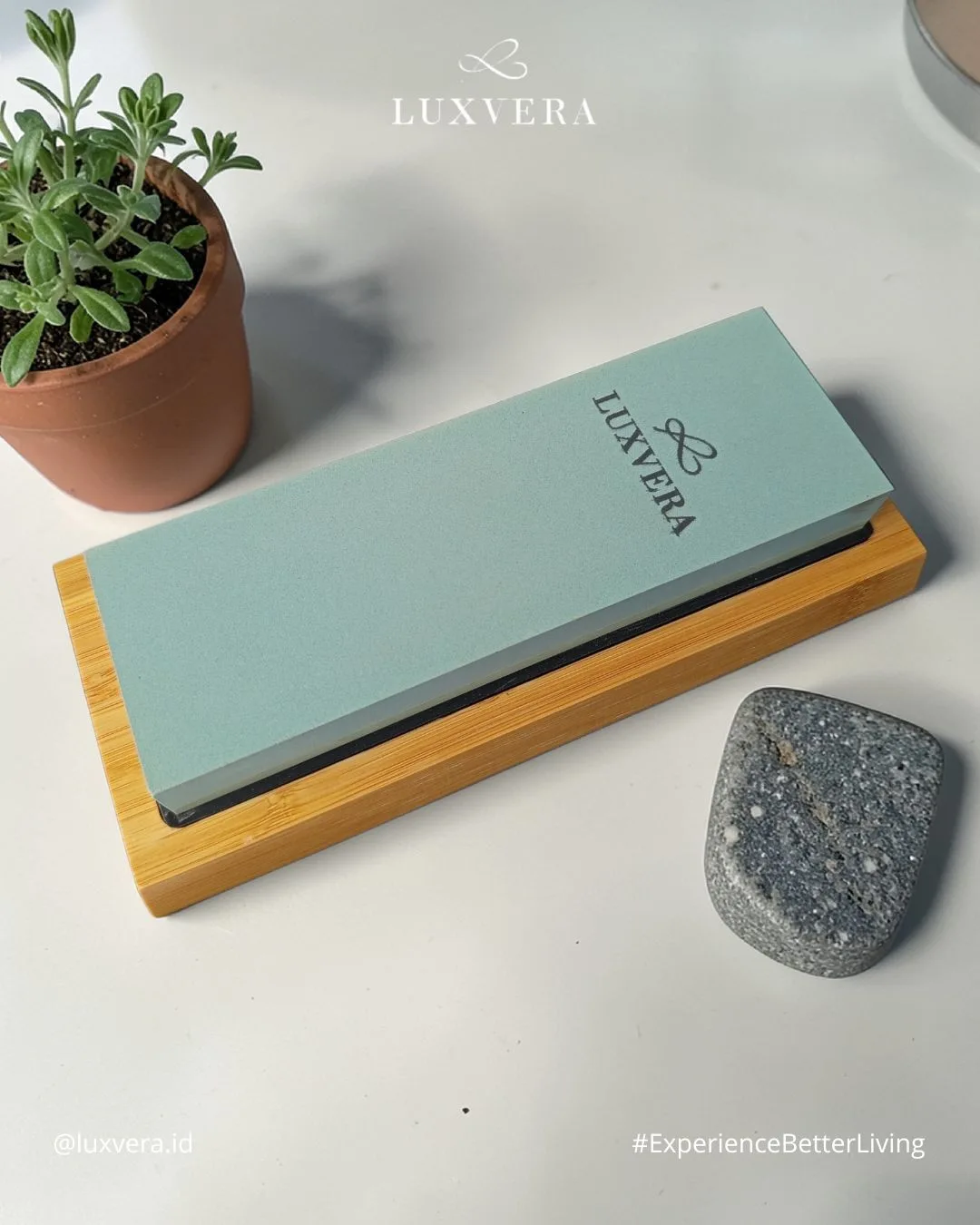 Luxvera everyday kitchen essential